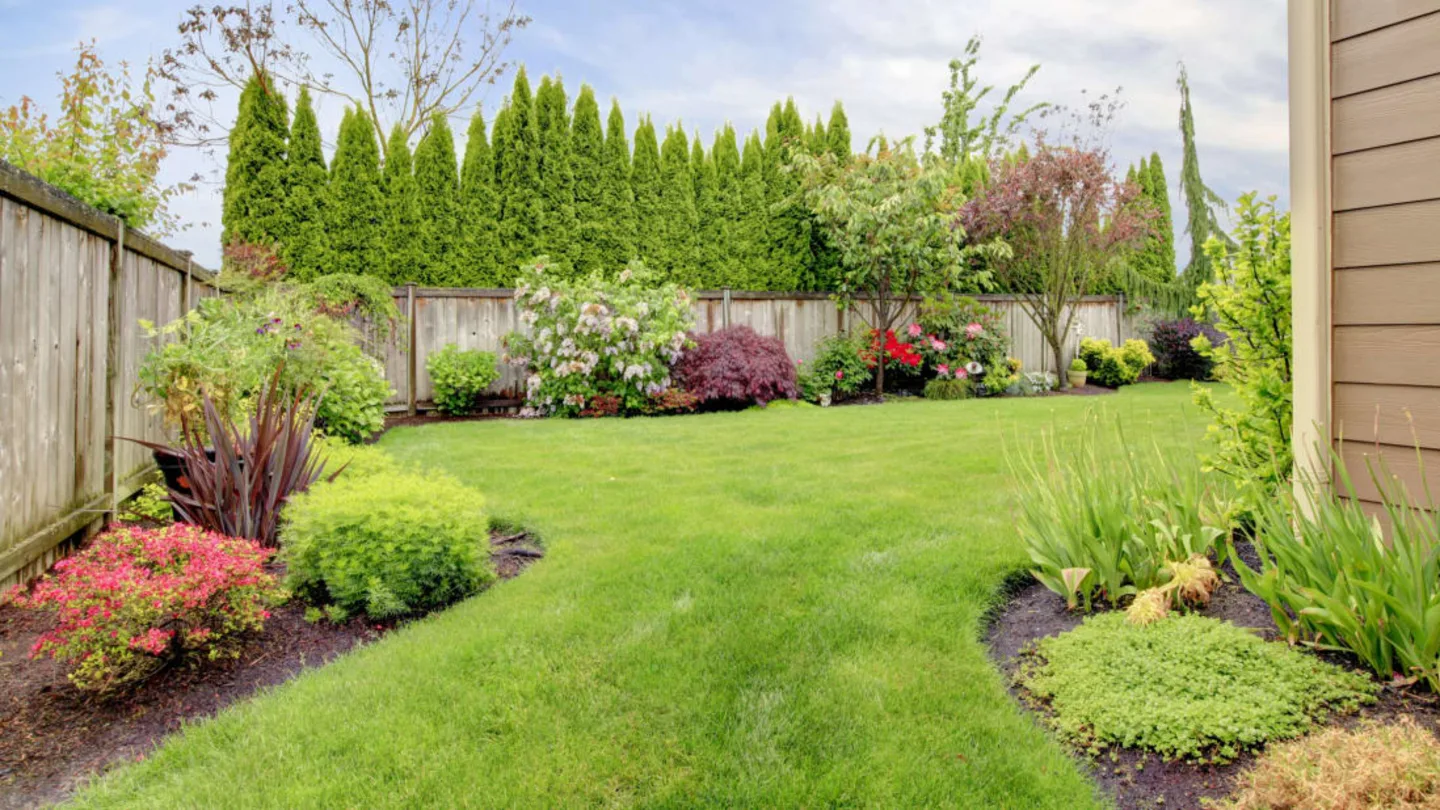 Professional Landscaping Design