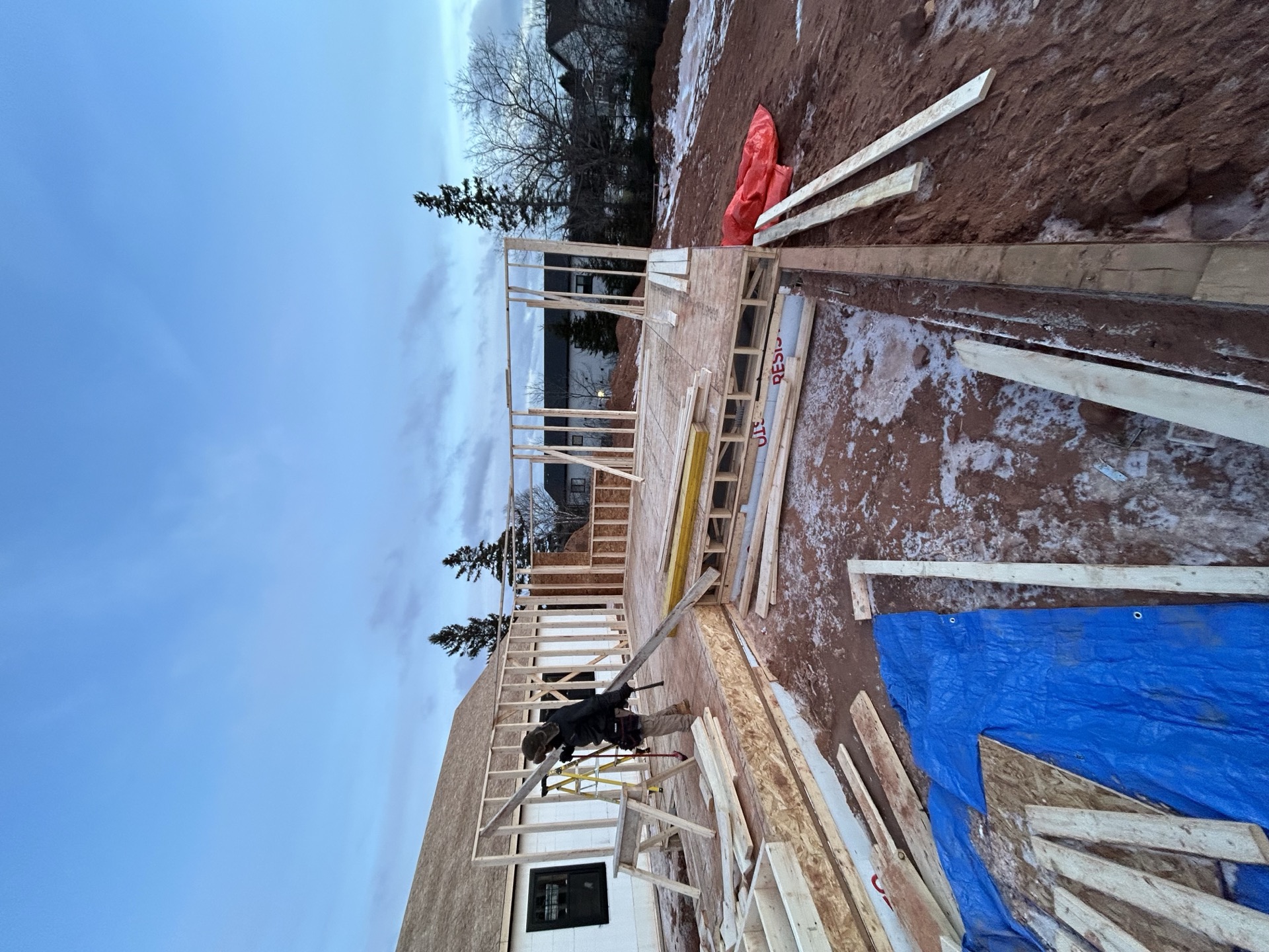 46 Emily Drive - Roof Structure